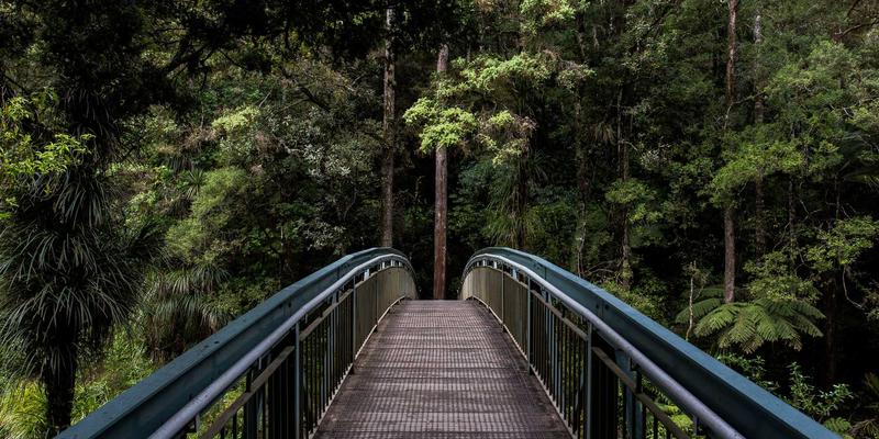厨房效率革命：5种基础酱料×卡片式布局，30道工业风快手菜点亮餐饮灵感