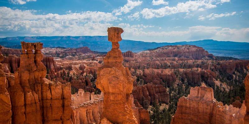 快好味周末备菜2.0:解锁卡片式冷冻术,用橙色能量点亮一周高效厨房