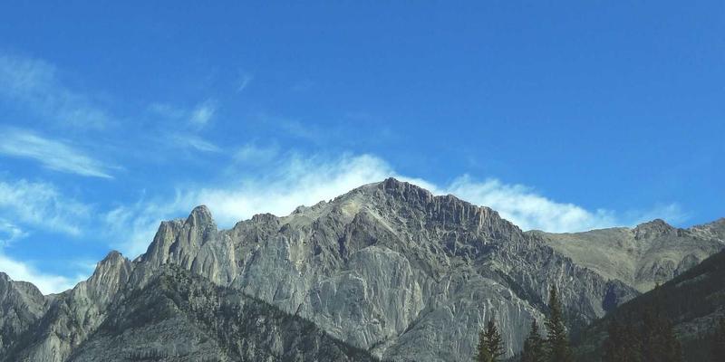 快好味早餐革命:7天不重样的10分钟高效能量早餐搭配,告别外卖依赖