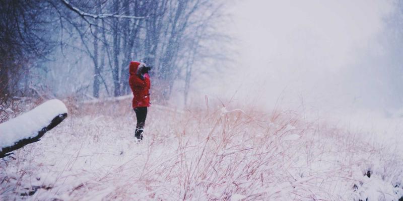 快好味预制菜深度评测:从成分表与工艺看北京三川力的健康与科技感
